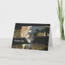 Zoek naar grappige ezel briefkaarten Valentijnsdag