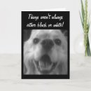 Zoek naar witte hond kaarten Denken aan jou