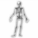 Zoek naar menselijke anatomie stickers Skelet