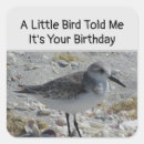 Zoek naar vogeltje posters Kleine vogel