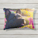 Zoek naar schotse terrier kussens Hond