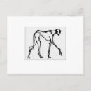 Zoek naar saluki briefkaarten Sighthound