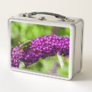 Zoek naar vlinders lunchboxen Zomer