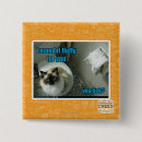 Zoek naar bont buttons Ik kan cheezburger hebben