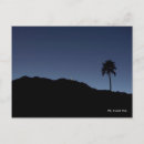Zoek naar palm springs briefkaarten Palmboom