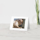 Zoek naar rhodesian kaarten Hond