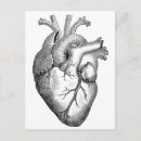 Zoek naar anatomische anatomie briefkaarten Illustratie
