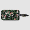 Zoek naar koi accessoires Vijvers