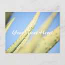 Zoek naar lucht plant briefkaarten Blauw