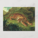 Zoek naar slang briefkaarten Wild