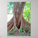Zoek naar tree roots kunst Bomen