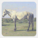 Zoek naar merrie stickers Foel