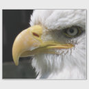 Zoek naar vogel cadeaupapier Dieren