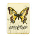 Zoek naar vlinder magneten Decoratief