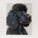 Zoek naar poodle puzzels Poedel