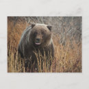 Zoek naar lip briefkaarten Elk persoon