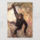 Zoek naar chimpansee uitnodigingen Voor iedereen