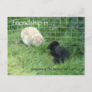 Zoek naar deugd kaarten Vriendschap