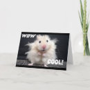 Zoek naar woestijnrat posters Hamster
