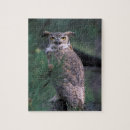 Zoek naar roofvogels puzzels Close up