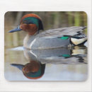 Zoek naar archer muismatten Alaska