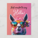 Zoek naar roze lama briefkaarten Alpaca