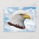 Zoek naar american football briefkaarten Usa