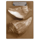 Zoek naar shells fotografie Natuur