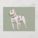 Zoek naar bull terrier briefkaarten Hond