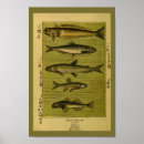 Zoek naar smelt posters Afdrukken