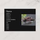 Zoek naar bever visitekaartjes Schattig