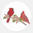 Zoek naar roodharige stickers Vogels