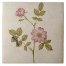 Zoek naar rosa tegels Botanisch