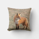 Zoek naar rode vos kussens Natuur