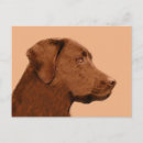 Zoek naar chocolade labrador retriever briefkaarten Hond