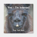 Zoek naar lama magneten Schattig