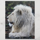 Zoek naar dieren flyers Afrika