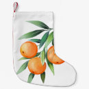 Zoek naar takken kerstsokken Illustratie