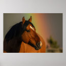 Zoek naar hengst kunst Paard