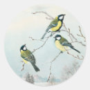 Zoek naar vogeltjes stickers Dieren