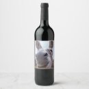 Zoek naar ezel voedselopbergers Voor iedereen