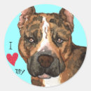 Zoek naar staffordshire stickers Staffie