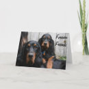 Zoek naar gordon setter kaarten Setters