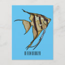 Zoek naar angelfish briefkaarten Aquarium