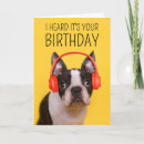 Zoek naar boston terriers kaarten Hond