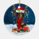 Zoek naar dachshund ornamenten Huisdier