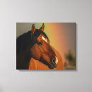 Zoek naar hengst kunst Paard