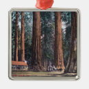 Zoek naar christmas tree briefkaarten Bomen