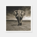 Zoek naar afrikaanse olifanten servetten Wilde dieren