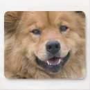 Zoek naar alert muismatten Buiten